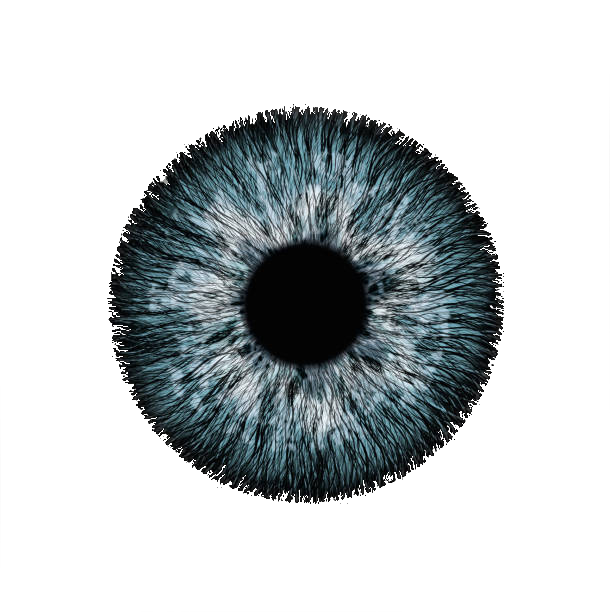 eye